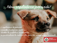 Non esplodere petardi: tuteliamo l'incolumità pubblica e degli animali