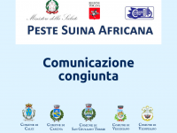 Peste suina africana, informazioni utili